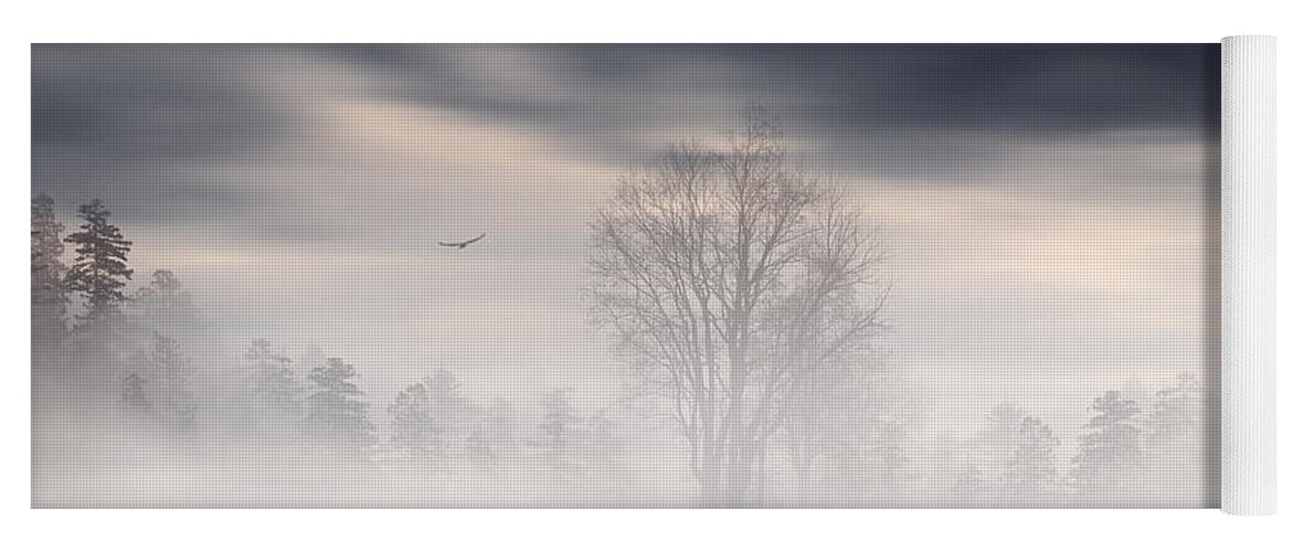 Gloomy Sky Yoga Mat featuring the photograph Emergence by Lourry Legarde
