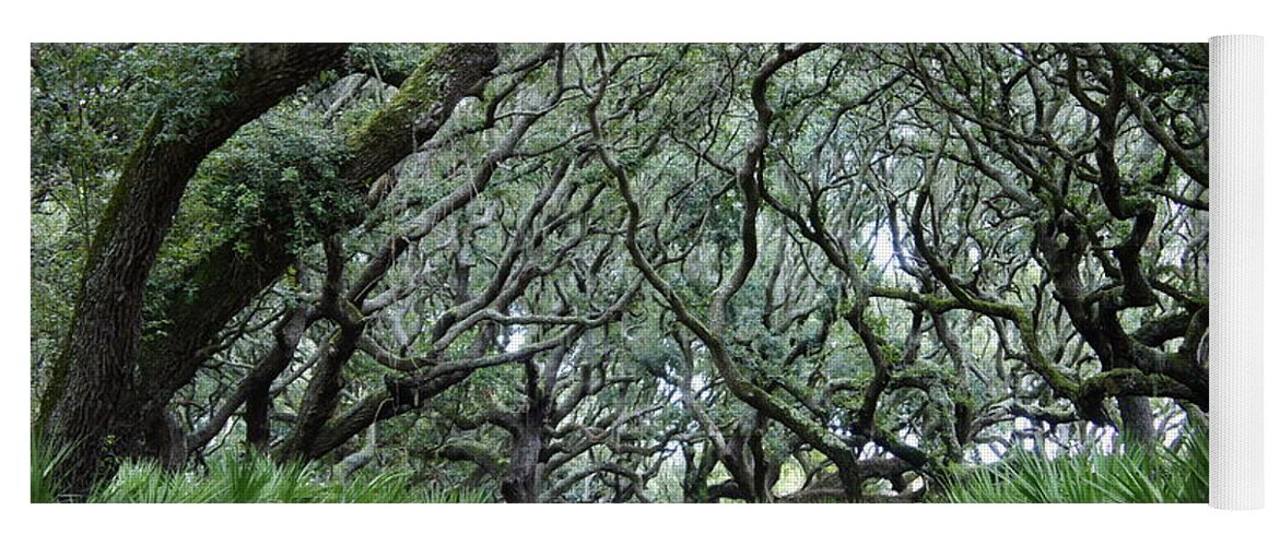 Cumberland Island Yoga Mat featuring the photograph Enchanted Forest by Laurie Perry
