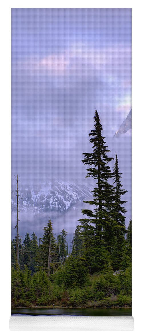 Nature Yoga Mat featuring the photograph Enduring Winter by Chad Dutson