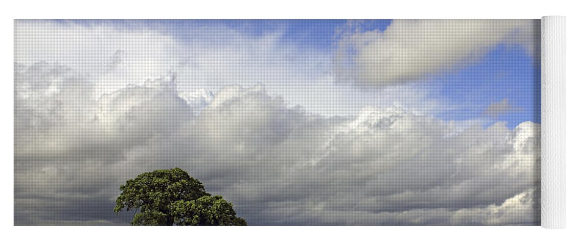 English Oak Under Stormy Skies Landscape Countryside English British England Clouds Dramatic Storm Cloud Fluffy Yoga Mat featuring the photograph English Oak under Stormy Skies by Julia Gavin