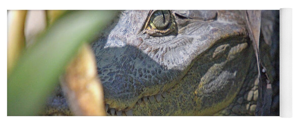 Costa Rica Yoga Mat featuring the photograph Eye of the Caiman by Bob Hislop