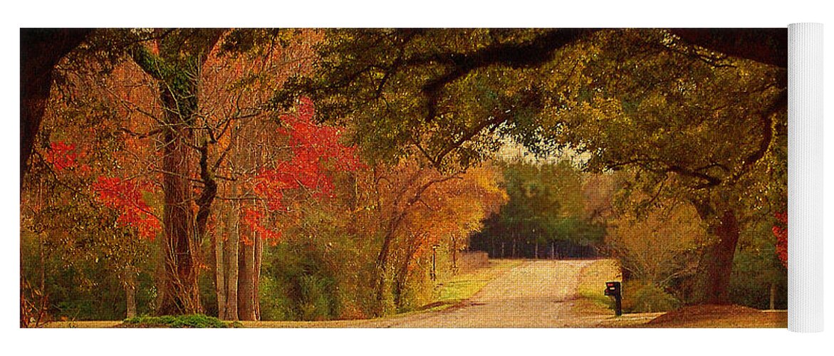 Fall Yoga Mat featuring the photograph Fall Along A Country Road by Kathy Baccari