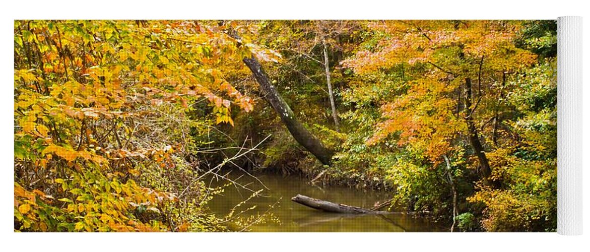 Michael Tidwell Photography Yoga Mat featuring the photograph Fall Creek Foliage by Michael Tidwell