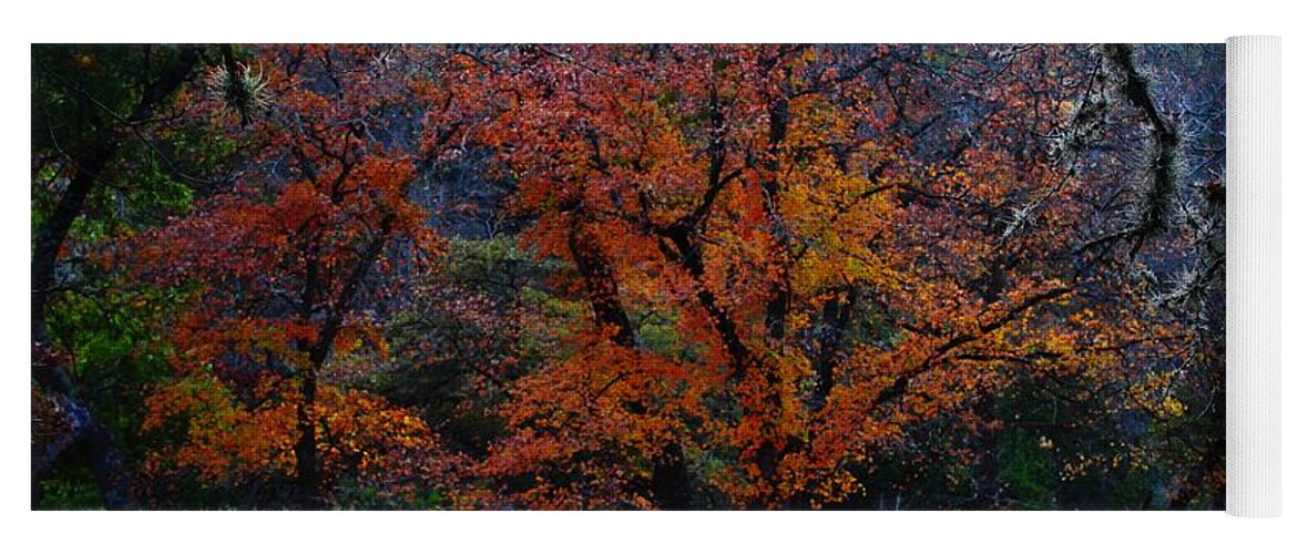Michael Tidwell Photography Yoga Mat featuring the photograph Fall Foliage at Lost Maples State Park by Michael Tidwell