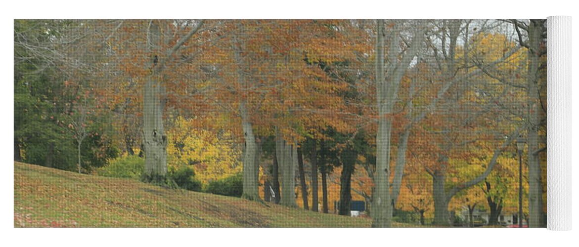 Fall Yoga Mat featuring the photograph Autumn Day in NE Ohio by Valerie Collins