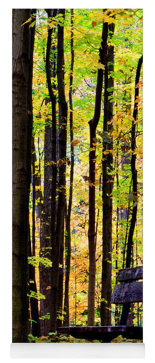 Leaves Yoga Mat featuring the photograph Fall Woods in Michigan by Michael Arend