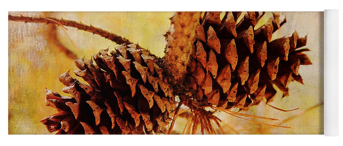 Pinecones Yoga Mat featuring the photograph Fall's Golden Light by Trina Ansel