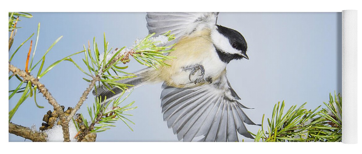 Birds In Flight Yoga Mat featuring the photograph Fancy Flyer by Peg Runyan