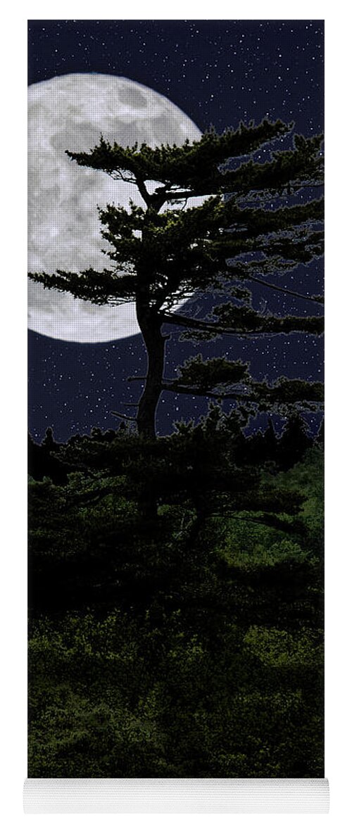Tree In Silhouette Yoga Mat featuring the photograph Favorite Tree in Full Moon Silhouette by Marty Saccone