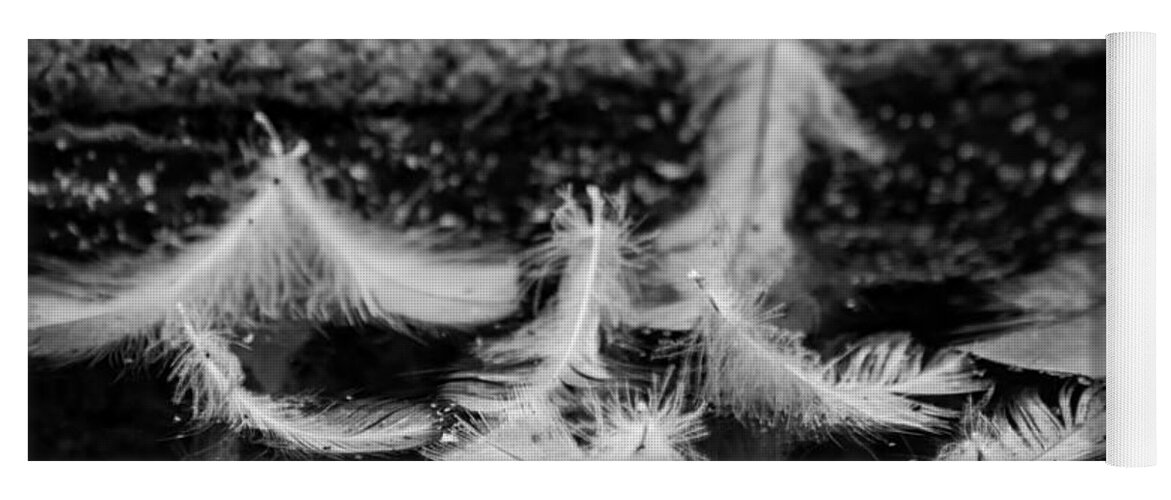 Feathers Yoga Mat featuring the photograph Angels Pass By - monochrome by Marilyn Wilson