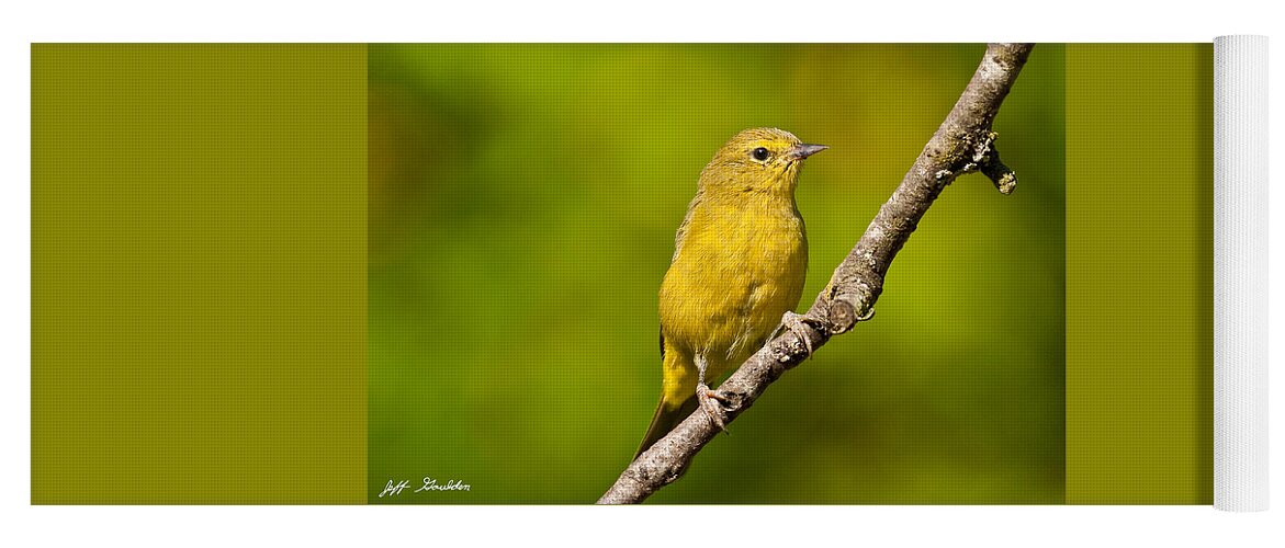Animal Yoga Mat featuring the photograph Female Yellow Warbler by Jeff Goulden