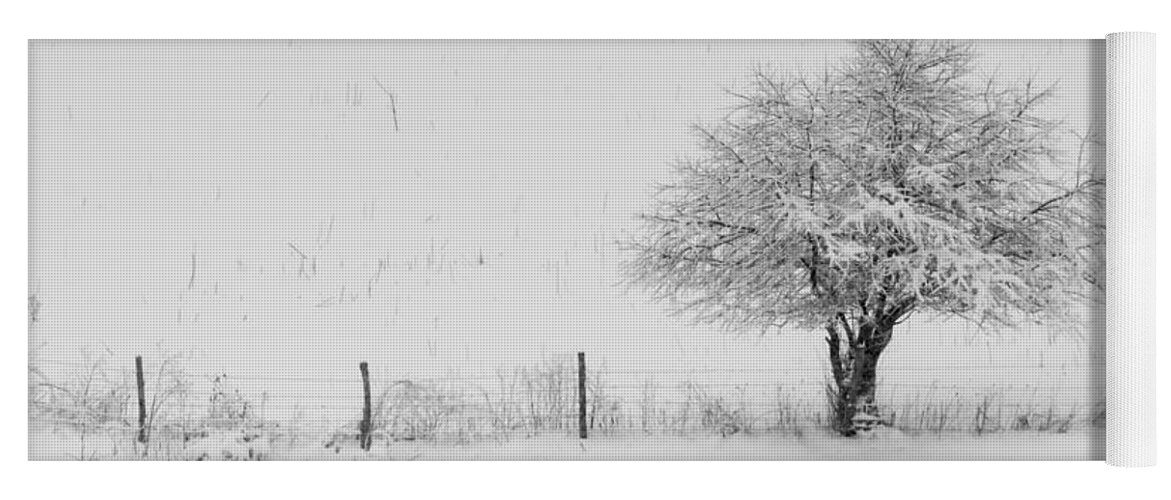 Fence Yoga Mat featuring the photograph Fence line in the Wintertime by Holden The Moment