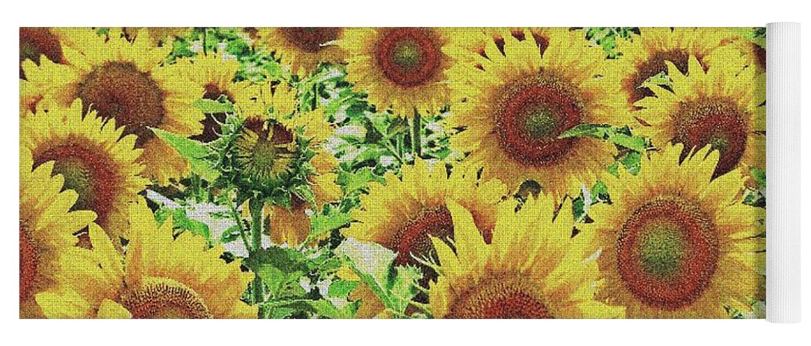 Field Of Sunflowers Yoga Mat featuring the photograph Field of Dreams by Robert ONeil