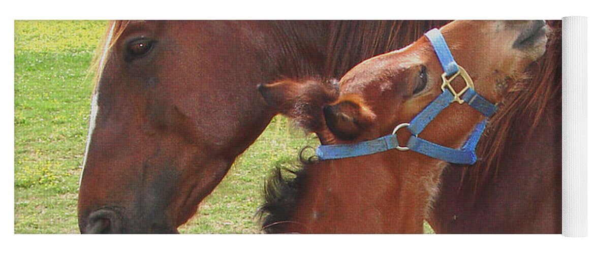 Foal Yoga Mat featuring the photograph First Hug by Lesa Fine