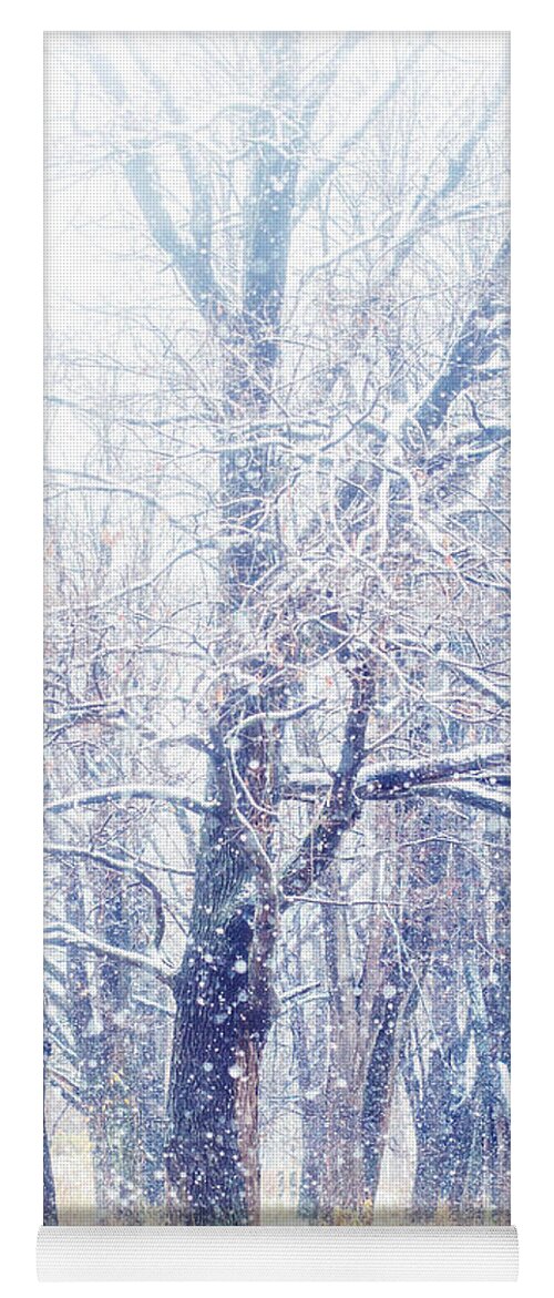 Snow Yoga Mat featuring the photograph First Snow. Dreamy Wonderland by Jenny Rainbow