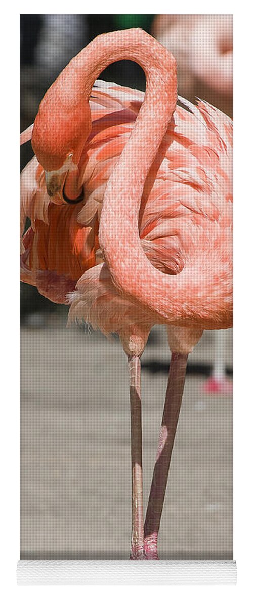 Birds Yoga Mat featuring the photograph Flamingo by Steven Ralser