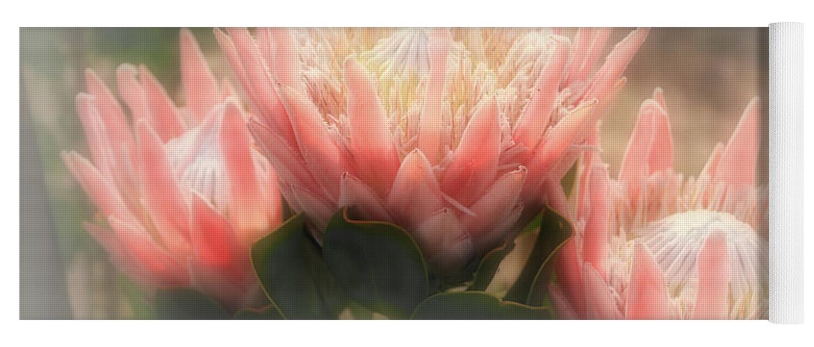 Flowers Yoga Mat featuring the photograph King Proteas by Elaine Teague