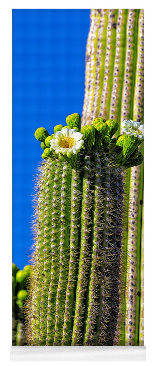 Flowers Yoga Mat featuring the photograph Flores del Saguaro by Fred J Lord