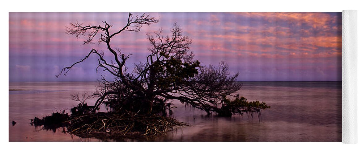 Mangrove Yoga Mat featuring the photograph Florida Mangrove Sunset by Michael Dawson