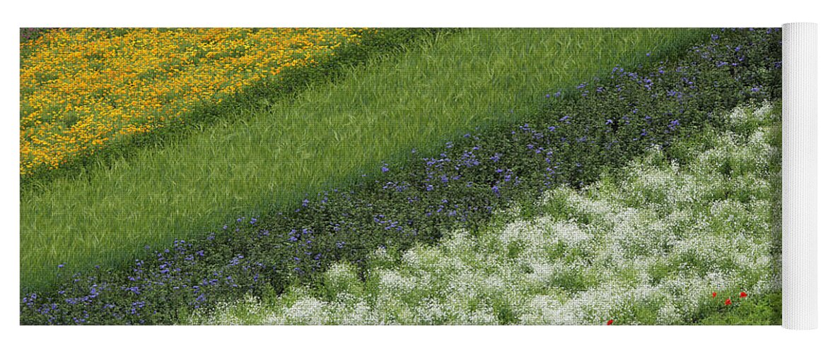 Feb0514 Yoga Mat featuring the photograph Flower Crops On Hillside Hokkaido Japan by Hiroya Minakuchi