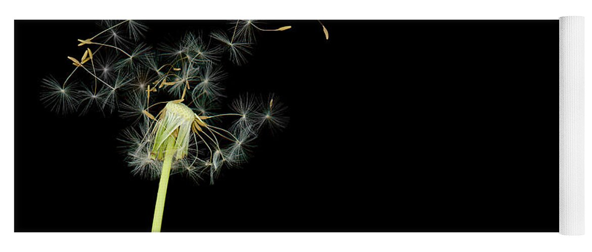 Dandelion Yoga Mat featuring the photograph Flower - Dandelion - Gesundheit by Mike Savad