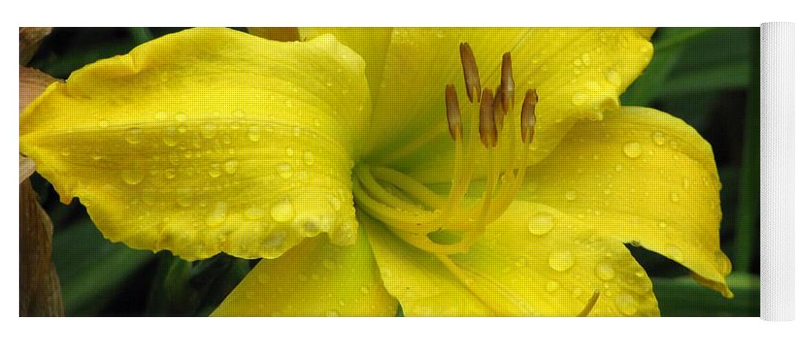 Flower Yoga Mat featuring the photograph Flower Garden 07 by Pamela Critchlow