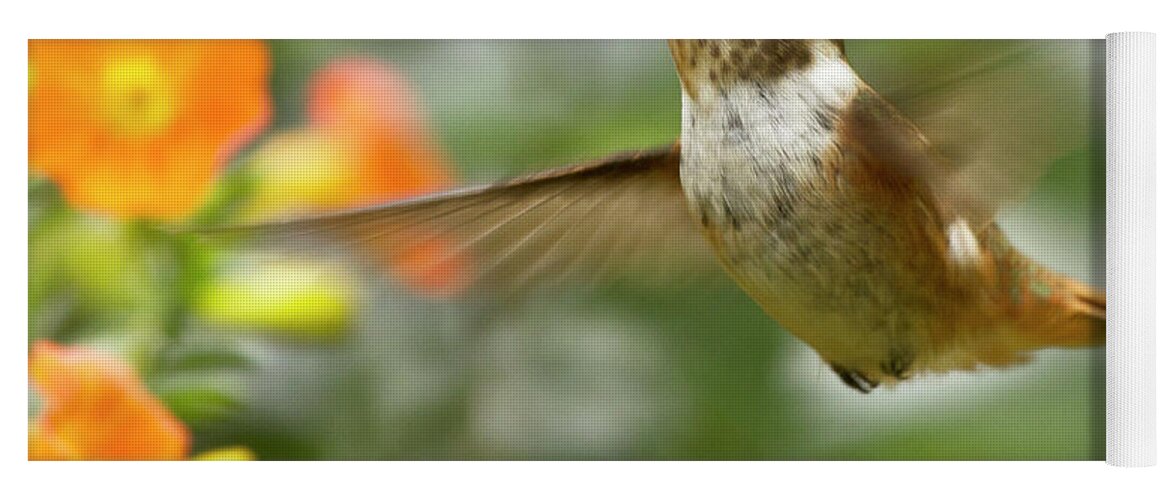Bird Yoga Mat featuring the photograph Flying Scintillant Hummingbird by Heiko Koehrer-Wagner