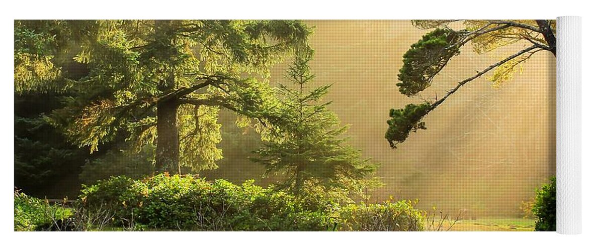 Landscape Yoga Mat featuring the photograph Fog at Fogarty 0004 by Kristina Rinell