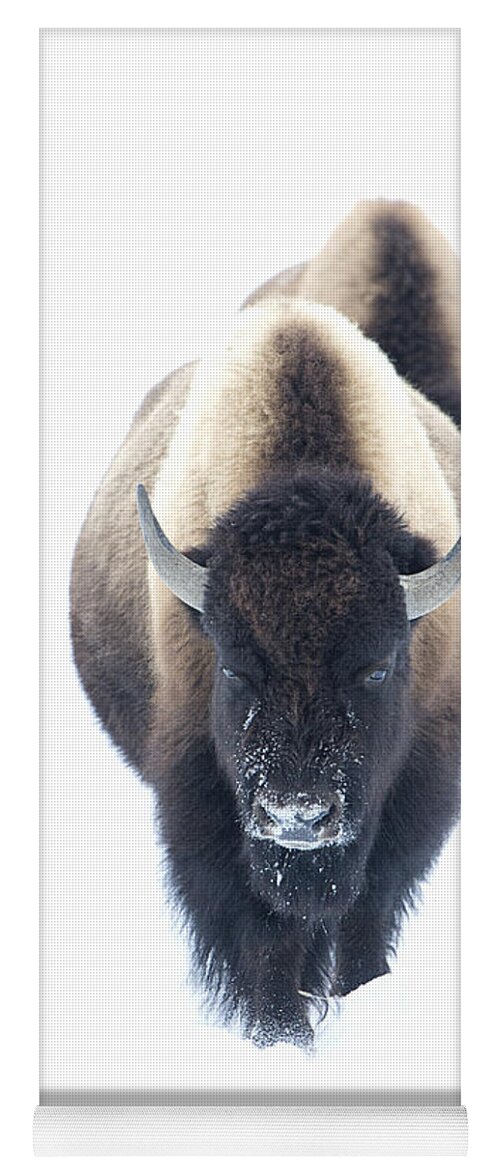 Bison Yoga Mat featuring the photograph Follow the Line by Deby Dixon