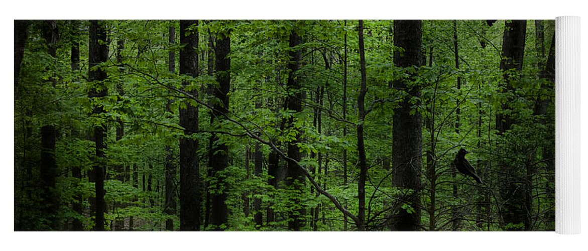 Evie Yoga Mat featuring the photograph Forest in Cades Cove by Evie Carrier