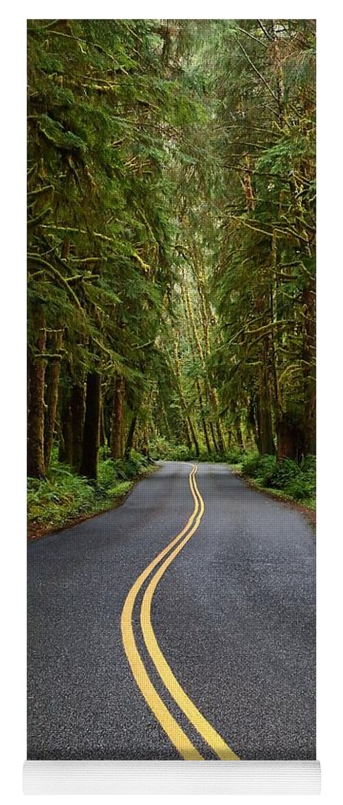 Green Yoga Mat featuring the photograph Forest Road by David Andersen