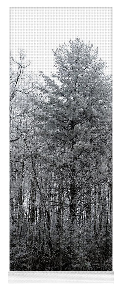 Landscape Yoga Mat featuring the photograph Forest With Freezing Fog by Daniel Reed
