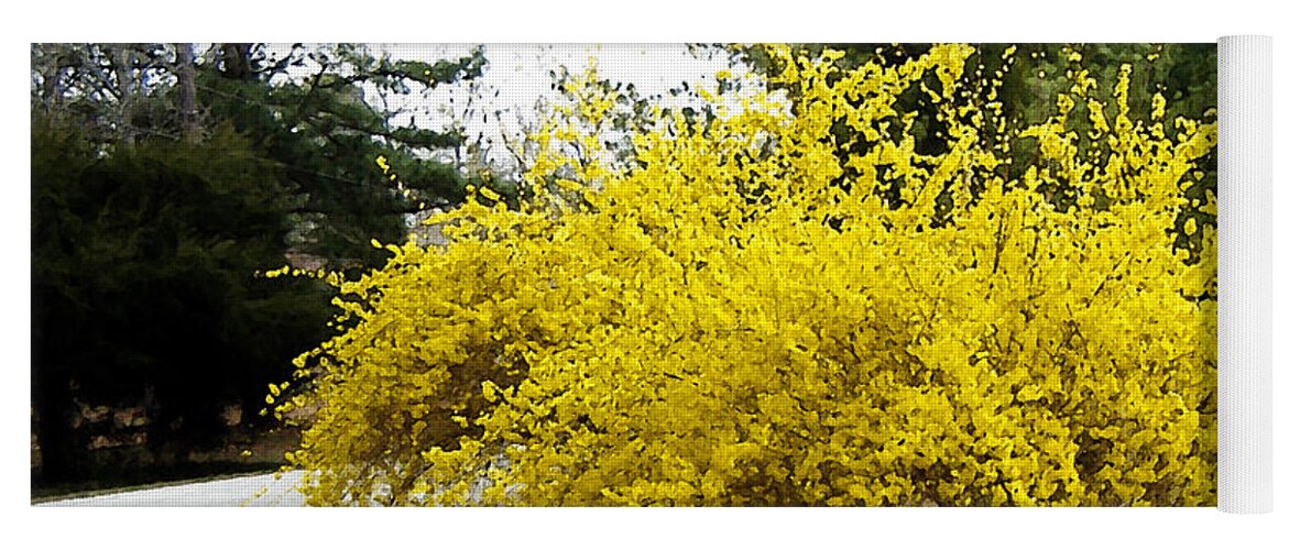 Forsythia Yoga Mat featuring the photograph Forsythia by Lee Owenby