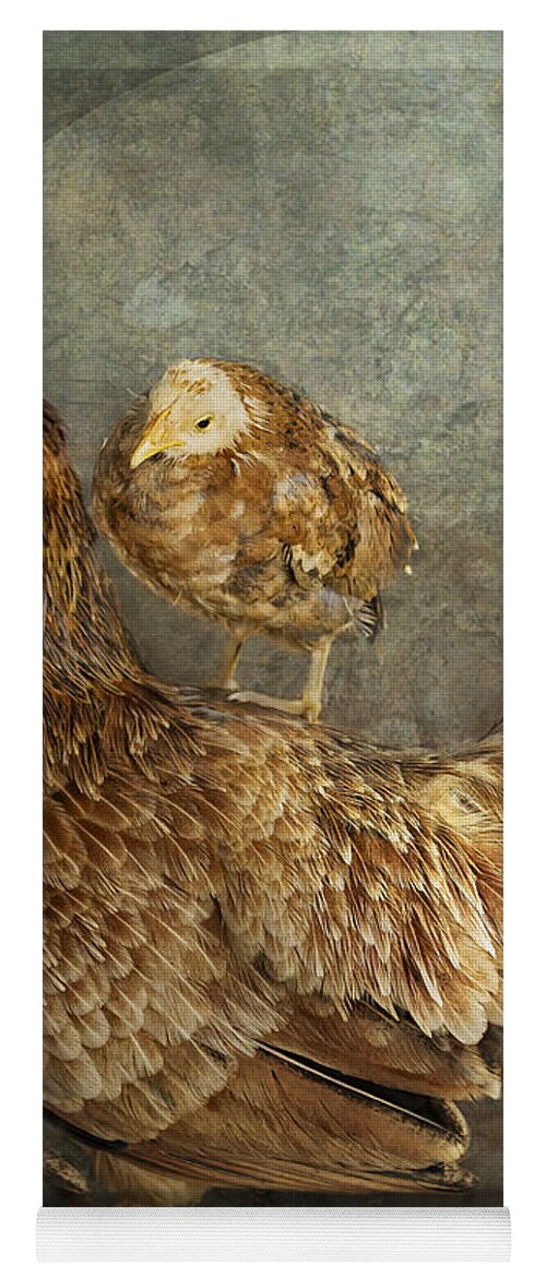 Hen Yoga Mat featuring the photograph Free Ride by Belinda Greb