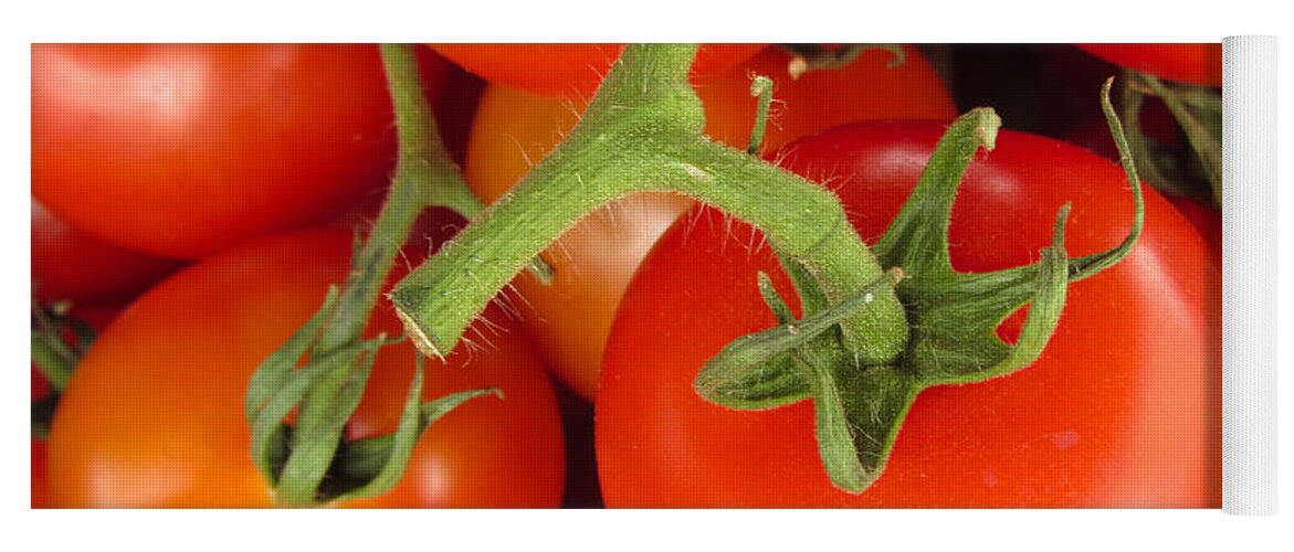 Tomato Canvas Print Yoga Mat featuring the photograph Fresh Whole Tomatos on Vine by David Millenheft