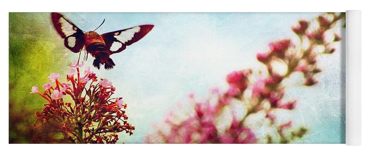 Hummingbird Moth Yoga Mat featuring the photograph Friends Are ..... by Kerri Farley