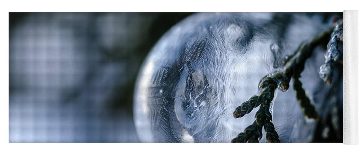 Bubble Yoga Mat featuring the photograph Frozen Bubble on a Pine Tree by Crystal Wightman