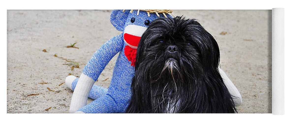 Sock Monkey Yoga Mat featuring the photograph Funky Monkey and Sweet Shih Tzu by Al Powell Photography USA