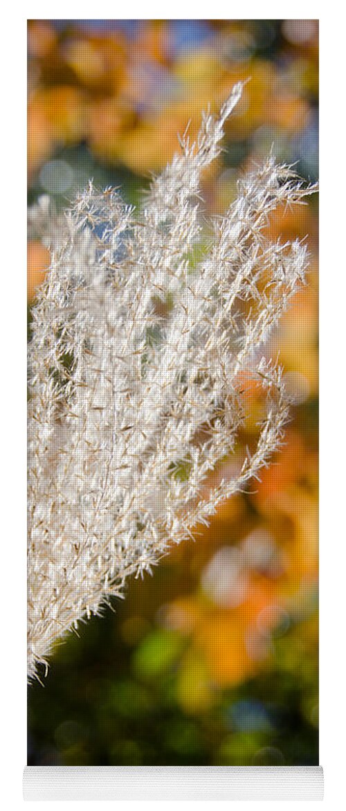 Fuzzy Yoga Mat featuring the photograph Fuzzy Grass 4 by Cassie Marie Photography