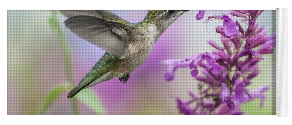 Hummingbird Yoga Mat featuring the photograph Garden Friend by Jean-Pierre Ducondi