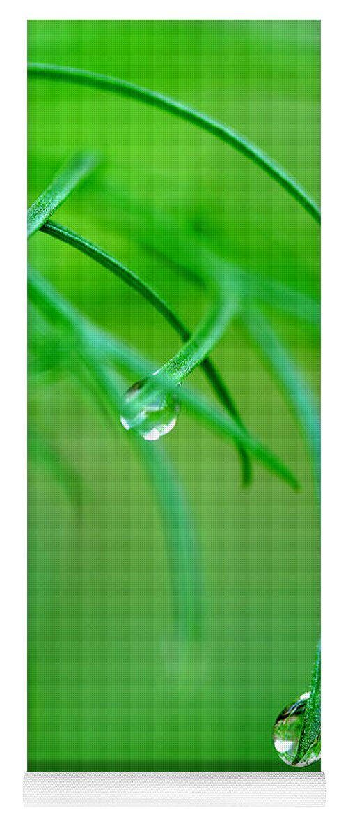 Dew Drops Yoga Mat featuring the photograph Garden Gifts by Michael Eingle