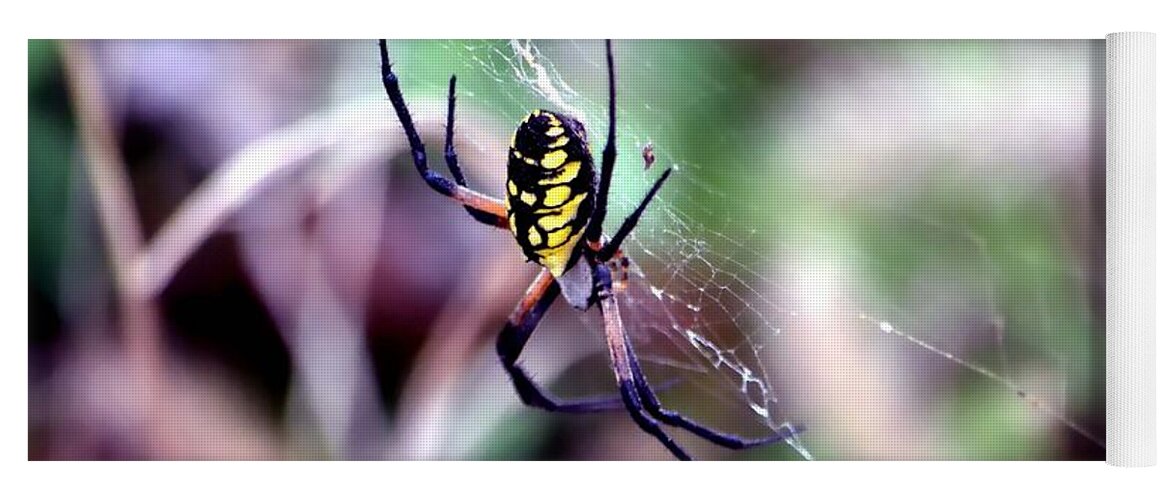 Spider Yoga Mat featuring the photograph Garden Spider by Deena Stoddard