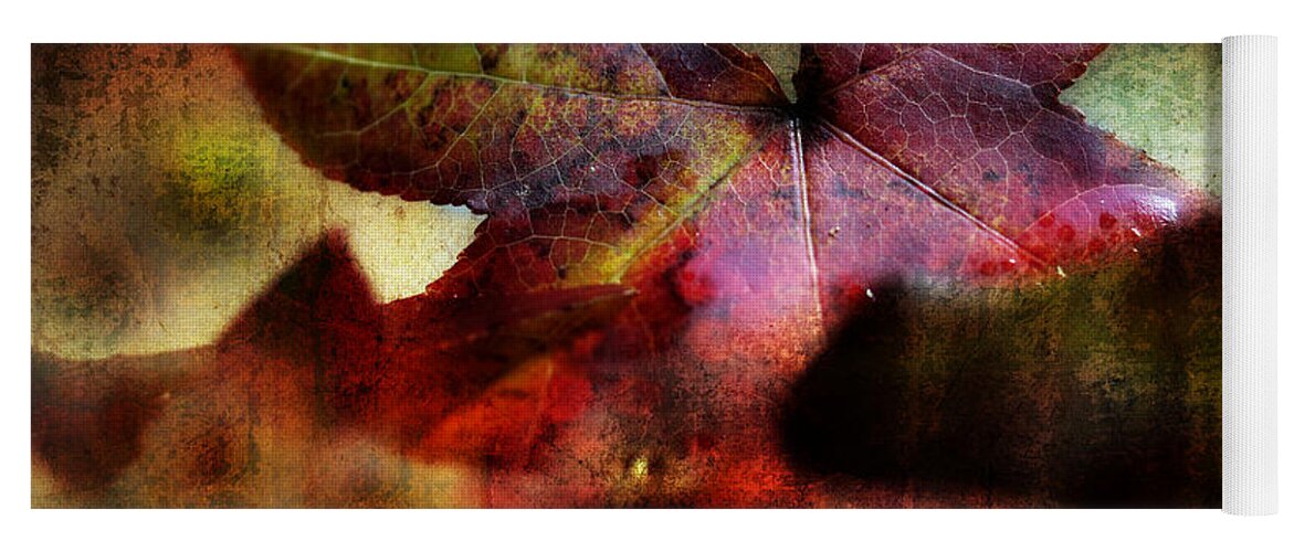 Fall Leaves Yoga Mat featuring the photograph Gathering Leaves by Michael Eingle