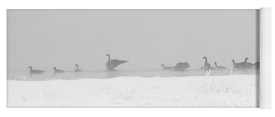 Geese Yoga Mat featuring the photograph Geese by Steven Ralser