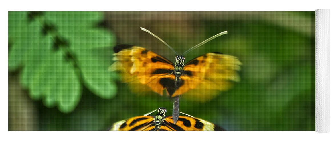 Mating Yoga Mat featuring the photograph Gentle Butterfly Courtship 03 by Thomas Woolworth