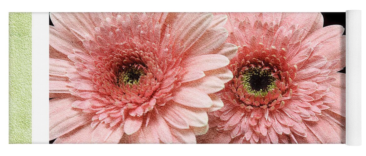 Gerber Yoga Mat featuring the photograph Gerber Daisy Love 4 by Andee Design