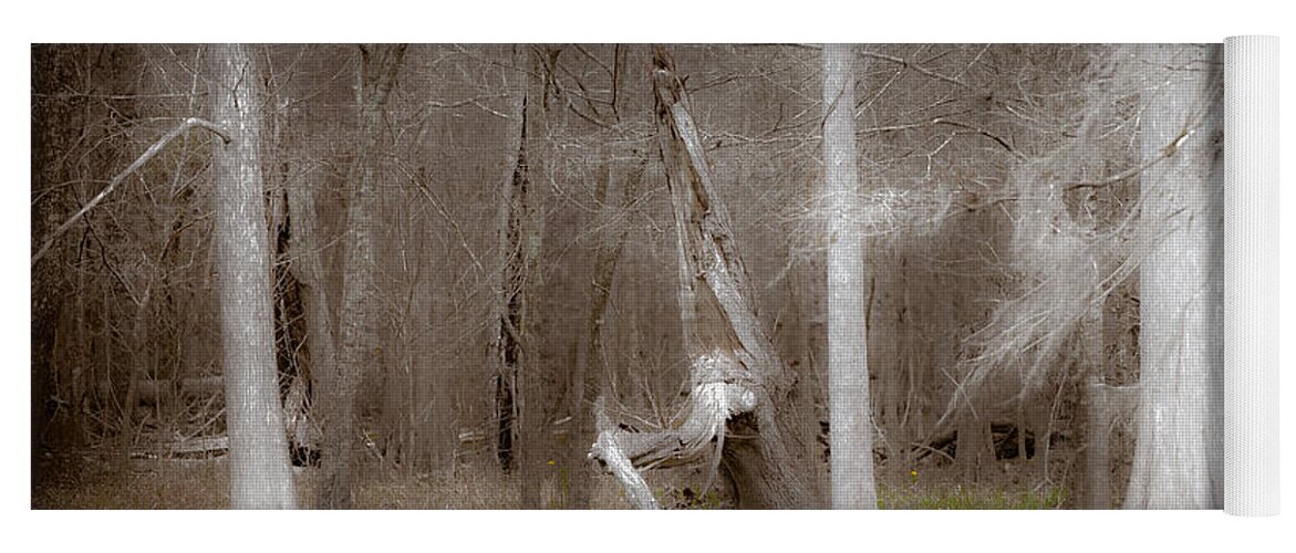 Craggy Yoga Mat featuring the photograph Ghost Trees by Jo Ann Tomaselli