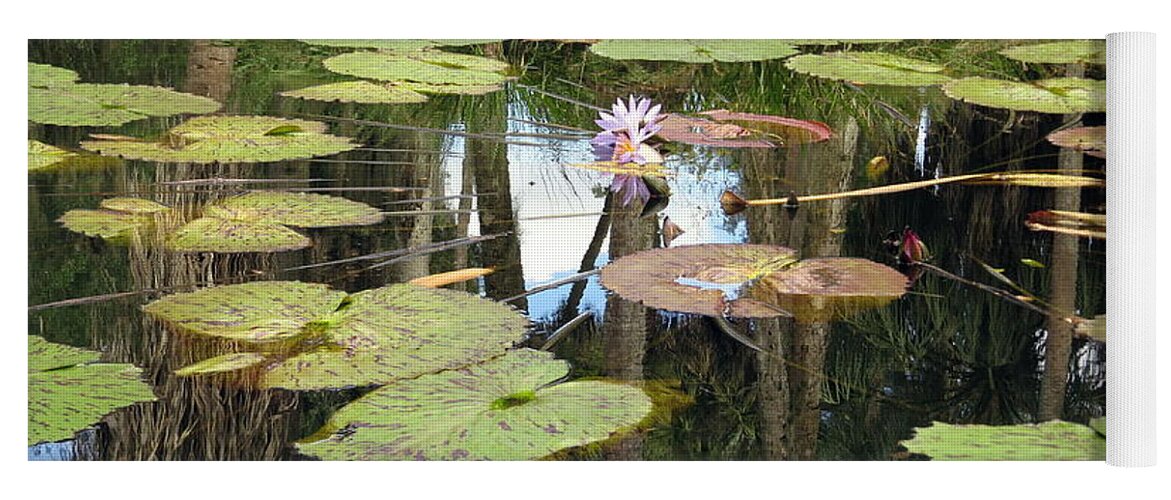Giant Water Lilies Yoga Mat featuring the photograph Giant water lilies by Zina Stromberg