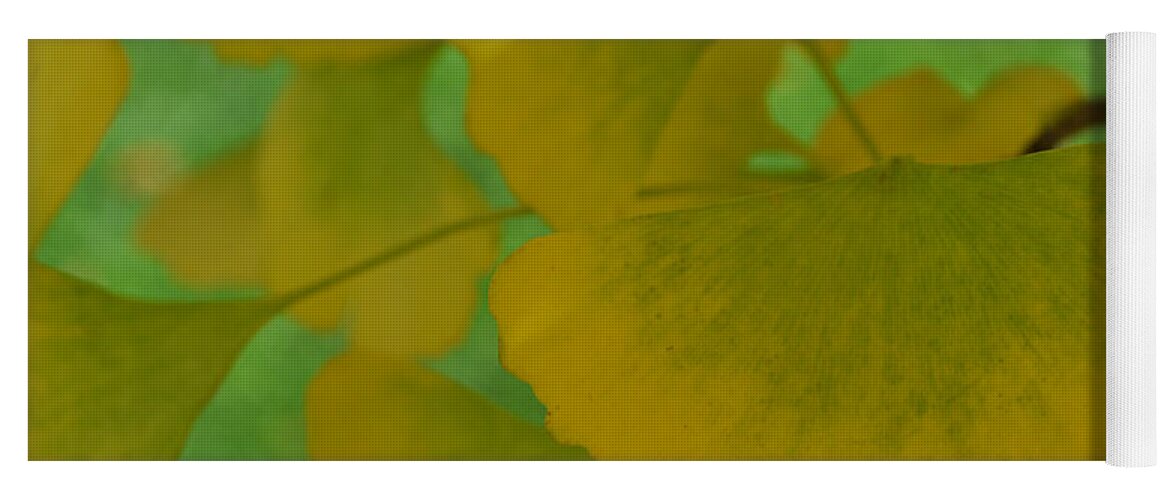 Ginkgo Leaves Yoga Mat featuring the photograph Ginkgo Leaves Abstract by Amy Lucid