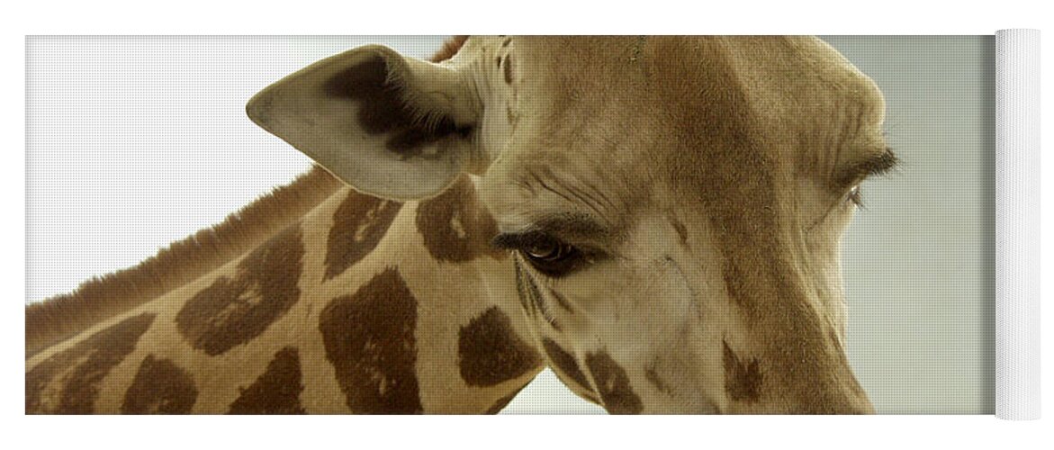 Giraffe Yoga Mat featuring the photograph Giraffe by Bob Slitzan